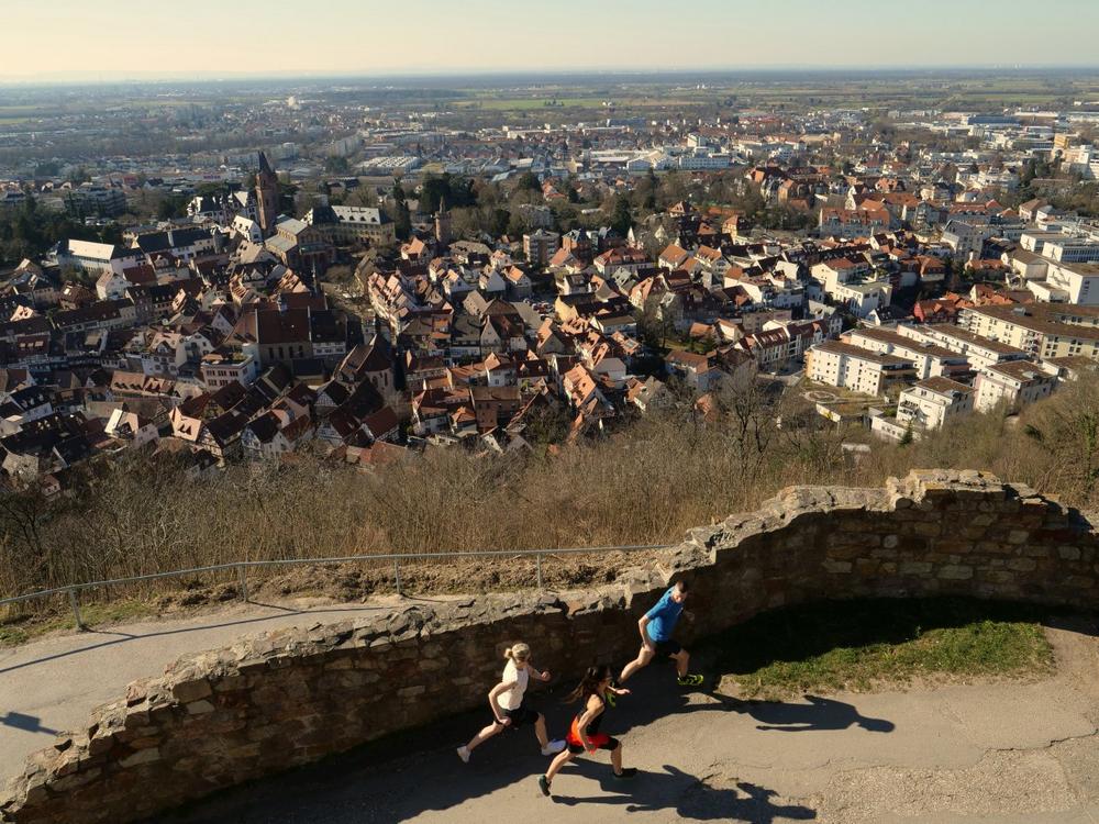 Weinheim Trails (Unterhaltung / Freizeit | Weinheim)