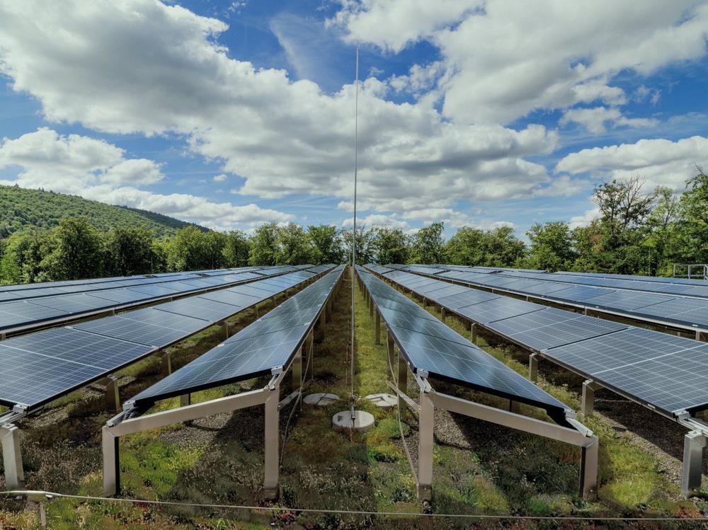 Solargründach – die Systemsymbiose für nachhaltige Städte (Seminar | Online)