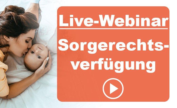 Für Eltern: Sichern Sie das Glück Ihrer Kinder – mit Sorgerechtsverfügung und Vollmachten (Webinar | Online)