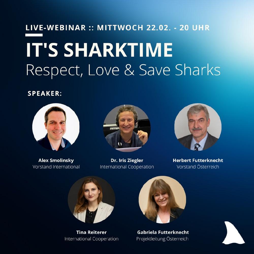 It‘s Sharktime – Respect, Love & Save Sharks (Webinar | Online)