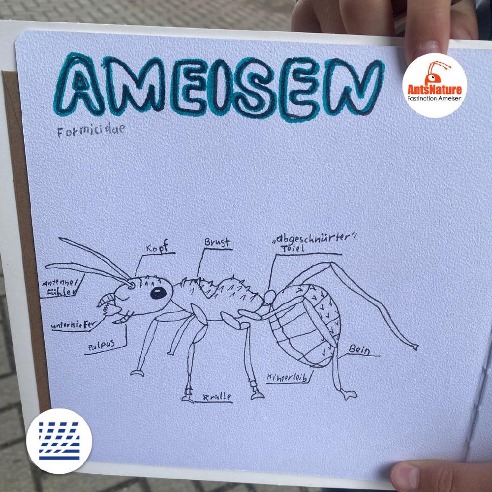 Willkommen im Reich der Ameisen! – Familien-Erlebnistag in Tempelhof-Schöneberg (Unterhaltung / Freizeit | Berlin)