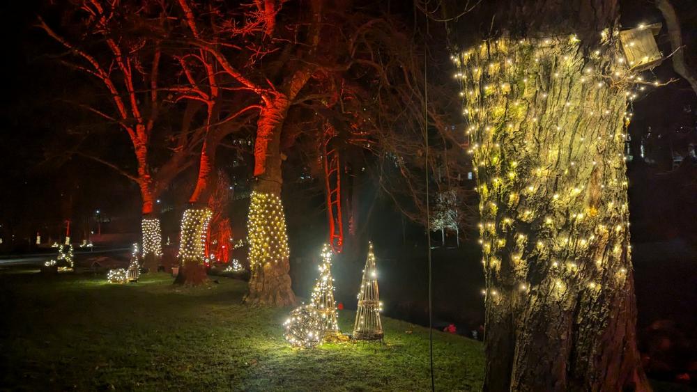 Stadtwerke-Albleuchten vom 30. November bis zum 6. Januar (Ausstellung | Bad Herrenalb)