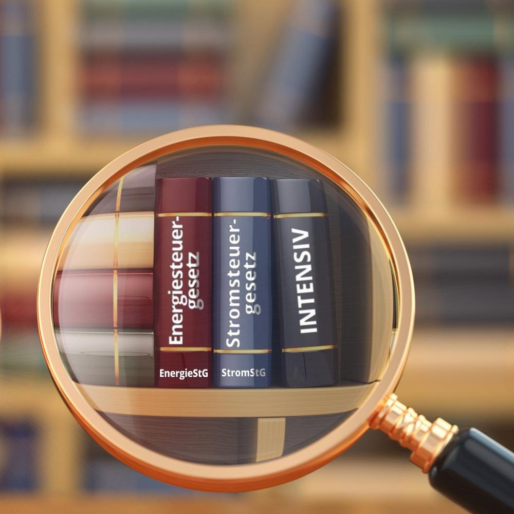 Energie- und Stromsteuergesetz 2026 – INTENSIV (Webinar | Online)