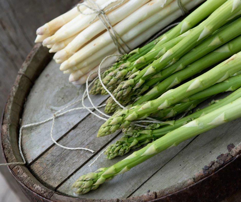 Spargelmenü (Unterhaltung / Freizeit | Bad Sulza)