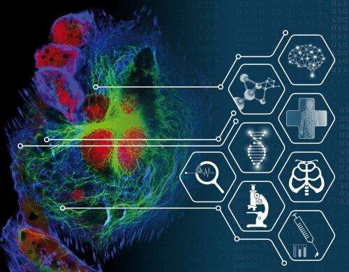 3D Cell Culture 2027: Functional Precision Medicine – Models and Molecules (Workshop | Freiburg im Breisgau)